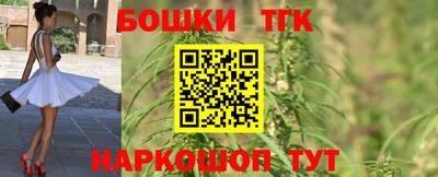 стаф Лесосибирск