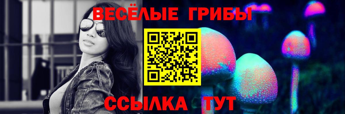 Галлюциногенные грибы ЛСД Елец